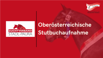 Mehr zu: Oberösterreichische Stutbuchaufnahme Noriker