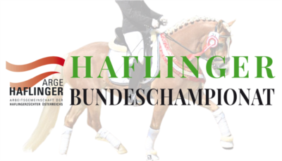 Mehr zu: ARGE Haflinger Bundeschampionat (CDNH-B* CSNH-B)