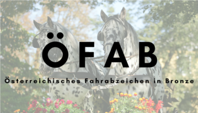 Mehr zu: Österreichisches Fahrabzeichen in Bronze (Vorbereitungskurs und Prüfung)