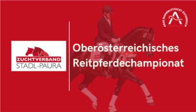 Mehr zu: Oberösterreichisches Reitpferdechampionat