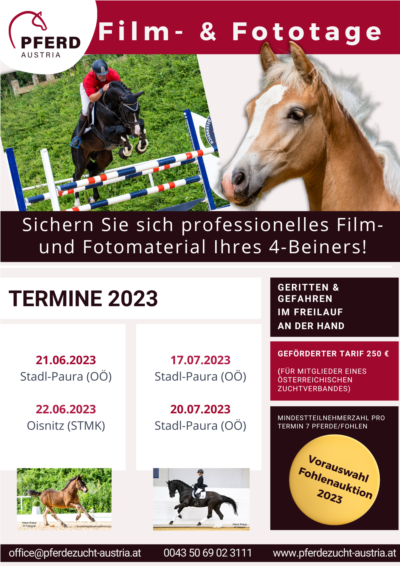 Mehr zu: Film- und Fototage im Pferdezentrum Stadl-Paura