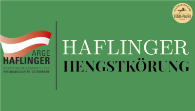 Mehr zu: ARGE Haflinger Hengstkörung