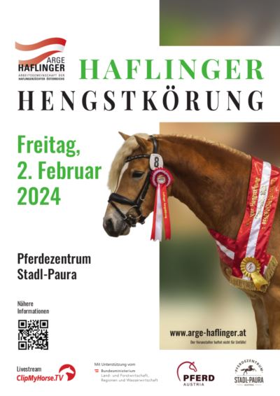 Mehr zu: Haflinger Hengstkörung 02.02.2024